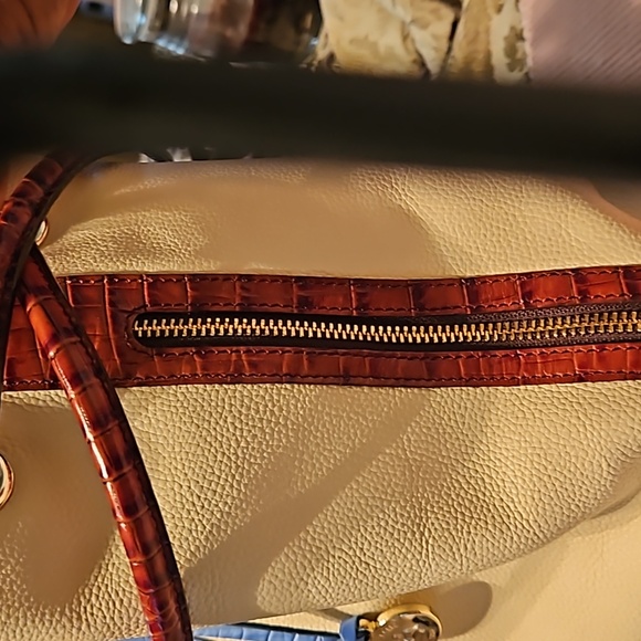 Brahmin - Picture 2 of 3